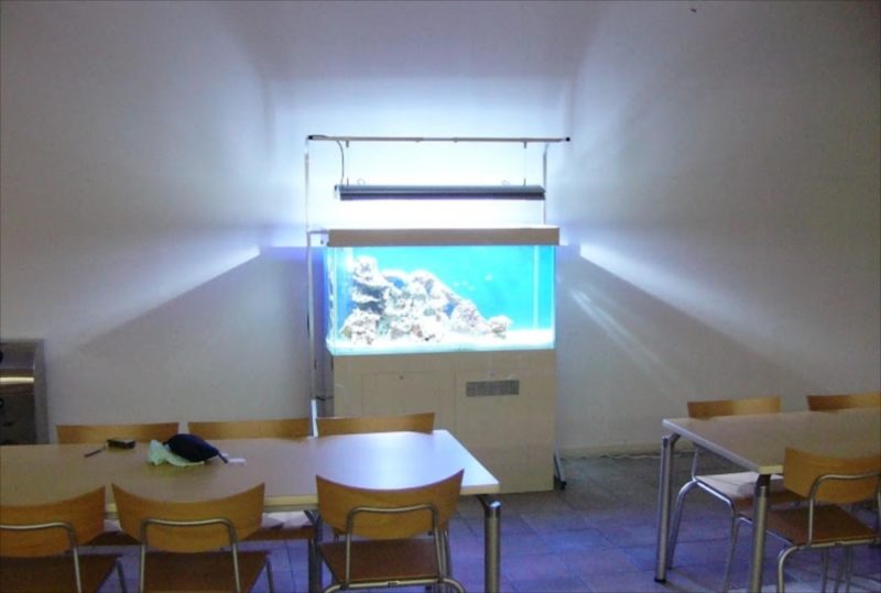 東京都豊島区 大正大学様  120cm海水魚水槽  設置事例 水槽画像２