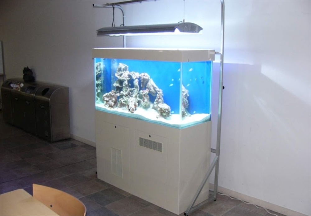 大正大学　120cm海水魚水槽　斜め画像
