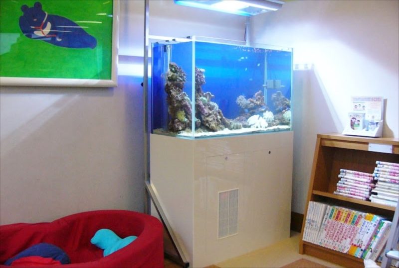 東京都世田谷区 いなみ小児科様  90cm海水魚水槽  レンタル事例 水槽画像２