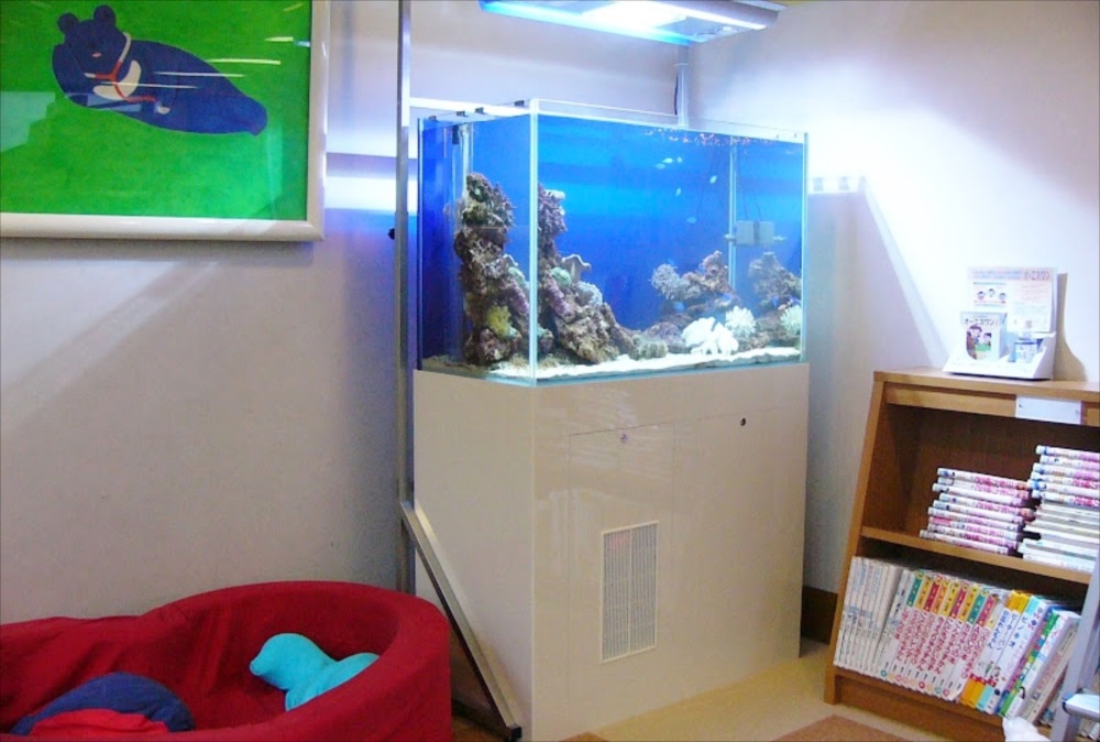 小児科 キッズルーム 海水魚水槽 全体画像