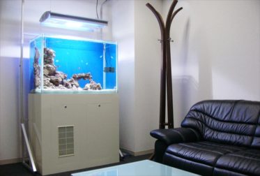 池袋　ＩＴ関連企業様　90cm海水魚水槽　設置事例