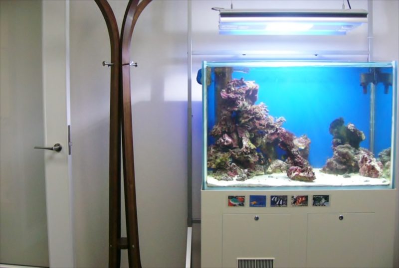 池袋　ＩＴ関連企業様　90cm海水魚水槽　設置事例 水槽画像５
