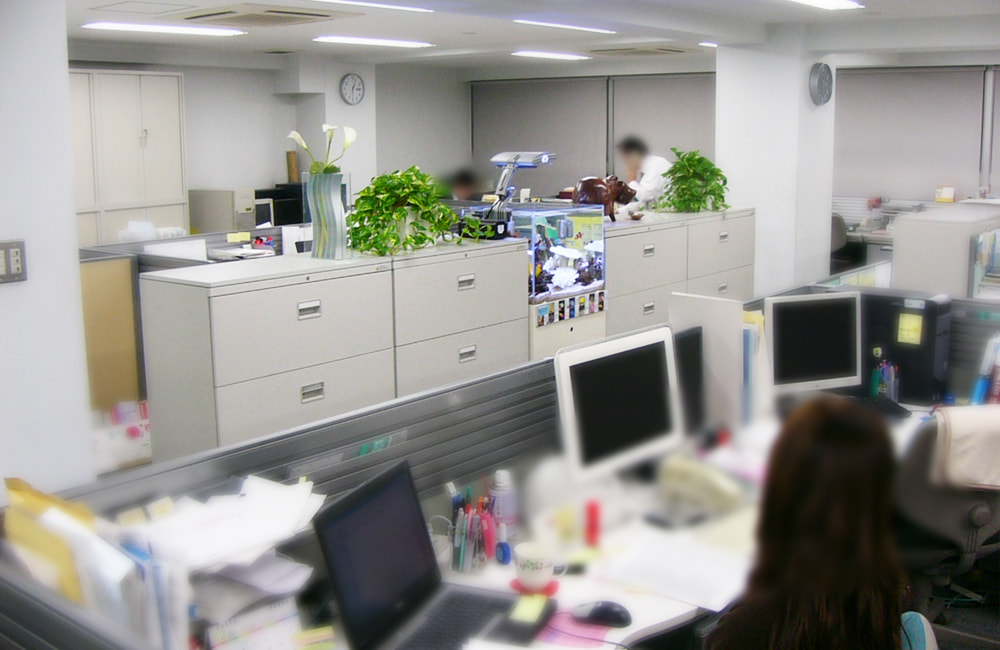 オフィス内の棚に設置された小型水槽と観葉植物