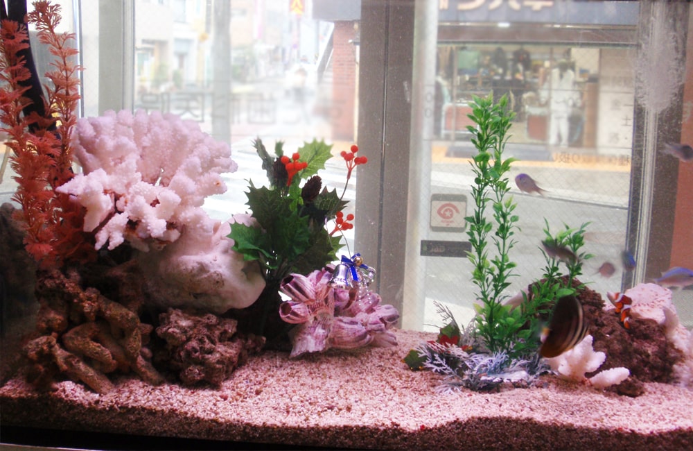 サンゴの模型と人工水草を配置した熱帯魚水槽のレイアウト