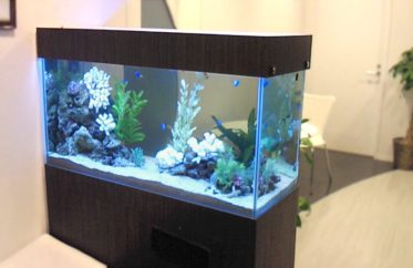 企業様　オフィスの商談スペース　120cm海水魚水槽　レンタル事例