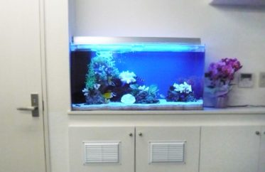 企業様　事務所に入り口に設置　90cm海水魚水槽レンタル事例