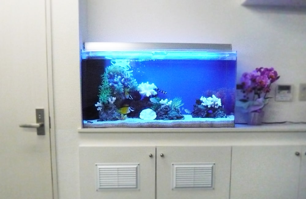 企業様　事務所に入り口に設置　90cm海水魚水槽レンタル事例 メイン画像