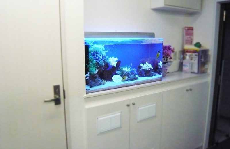 企業様 事務所に入り口に設置 90cm海水魚水槽レンタル事例 水槽画像2