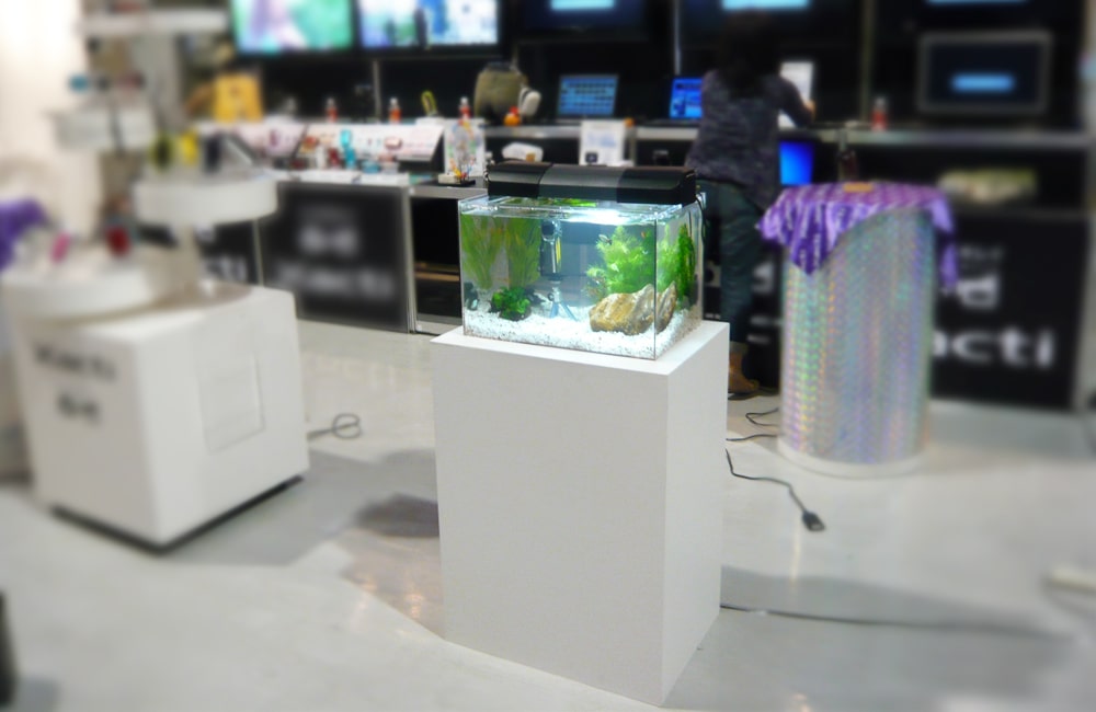 電化製品の展示会 水槽短期レンタルサービス事例のサムネイル画像