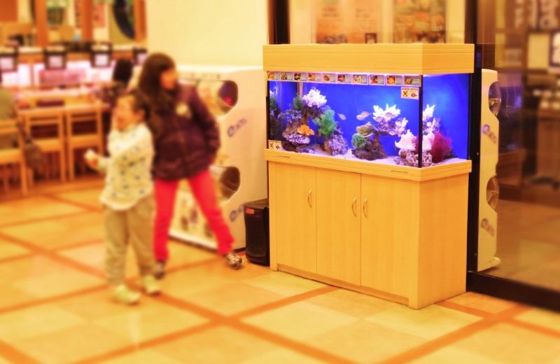栃木県 飲食店様 120cm海水魚水槽 水槽レンタル事例 水槽画像2