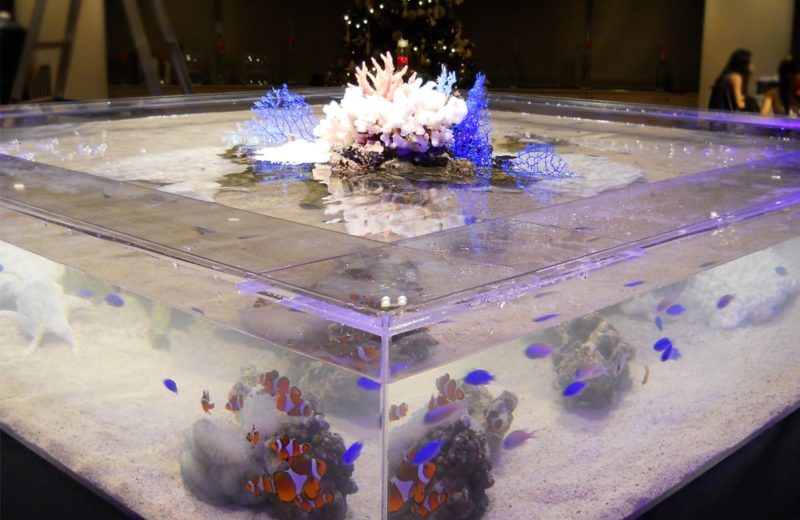東京都 ホテルラウンジ 150cm大型海水魚水槽 短期レンタル事例 水槽画像2