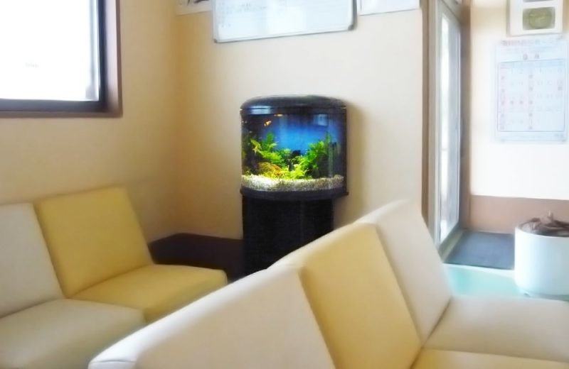 千葉県 病院様 60cm半円柱水槽 水槽レンタル事例 水槽画像1