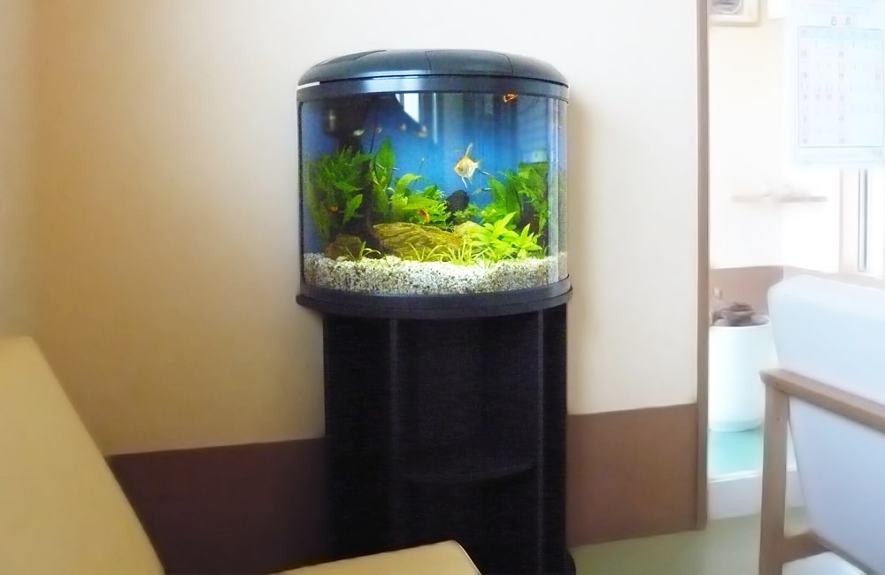 室内に設置された円筒形の水槽と泳ぐ熱帯魚や水草の風景