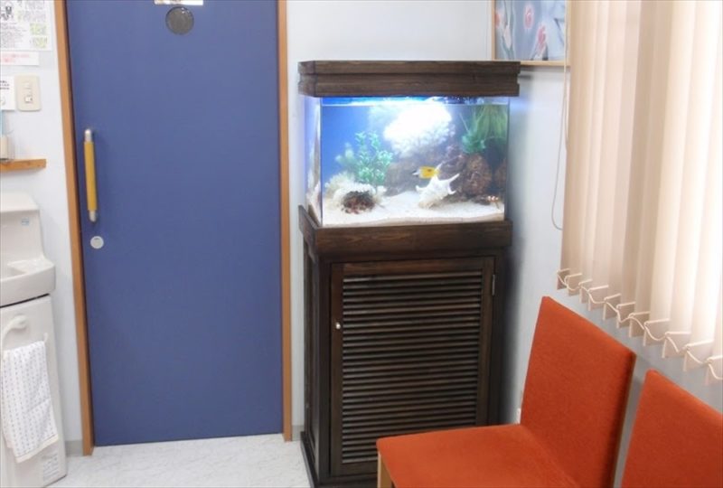 横浜市 歯科医院様 60cm海水魚水槽 設置事例 水槽画像2