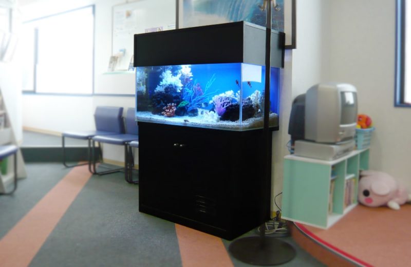 神奈川県横浜市 歯科医院様 90cm海水魚水槽 レンタル事例 水槽画像3