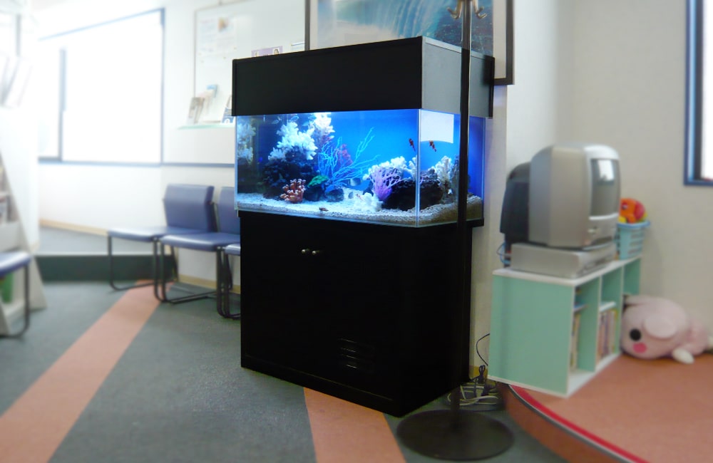 待合室に設置された黒い水槽台と青い照明の海水魚水槽
