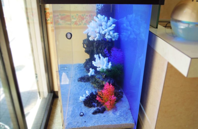 東京都 歯科医院様 90cm海水魚水槽 水槽レンタルサービス事例 水槽画像3