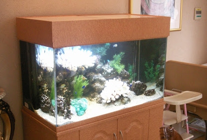 木目調キャビネットに設置されたサンゴレイアウトの海水魚水槽