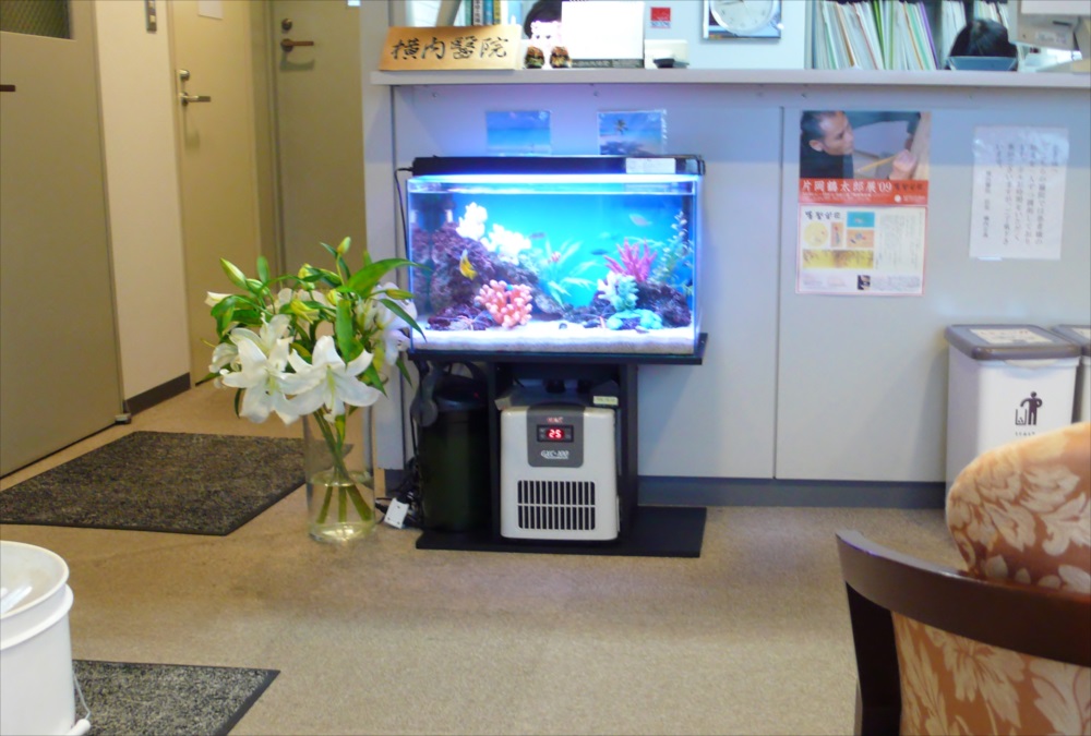 病院受付に設置された熱帯魚水槽と白いユリの花束