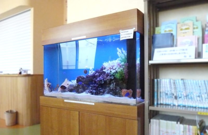 千葉県 病院様 90cm海水魚水槽 販売・メンテナンス事例 水槽画像1