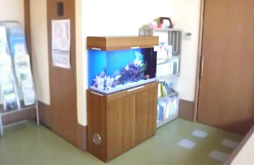 木目調の水槽台に設置された青い背景の海水魚水槽