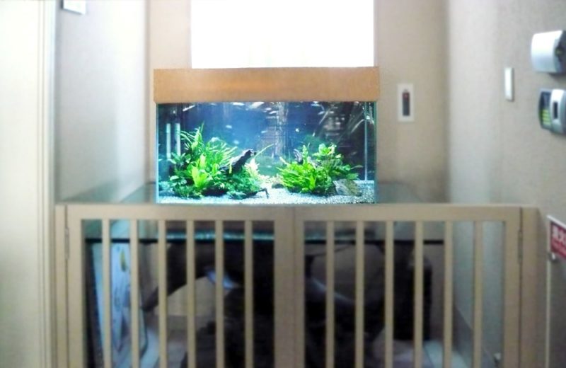 千葉県 婦人科医院様 90cm淡水魚水槽 水槽販売・メンテナンス事例 水槽画像1