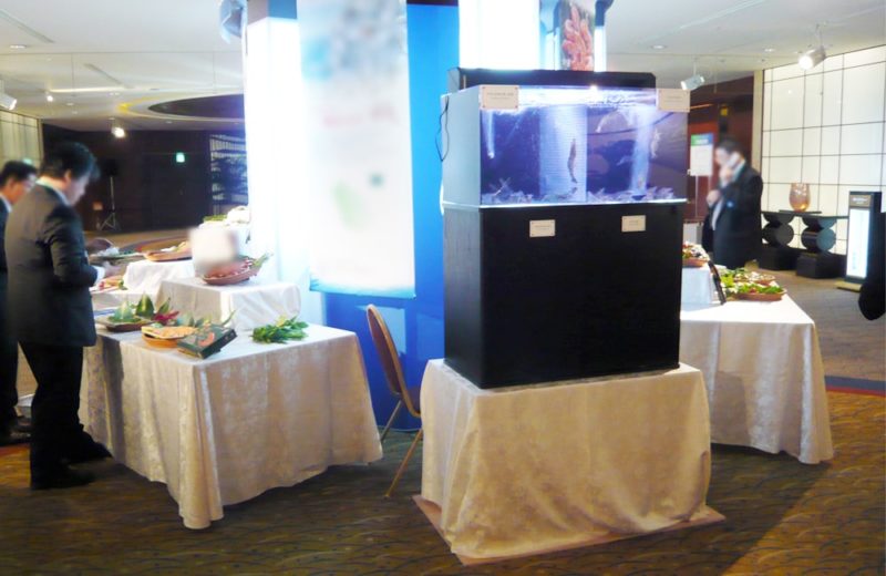 海鮮食品展示イベントに設置 90cm海水魚水槽 レンタル事例 水槽画像2