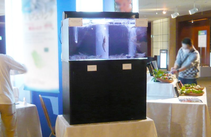 海鮮食品展示イベントに設置 90cm海水魚水槽 レンタル事例 水槽画像1