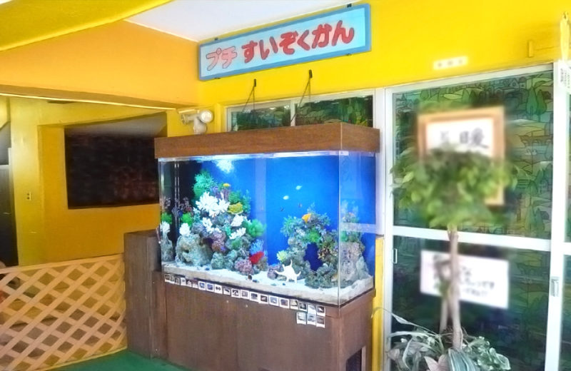浦和めぐみ幼稚園様 150cm海水魚水槽 水槽販売・メンテナンス事例 水槽画像1