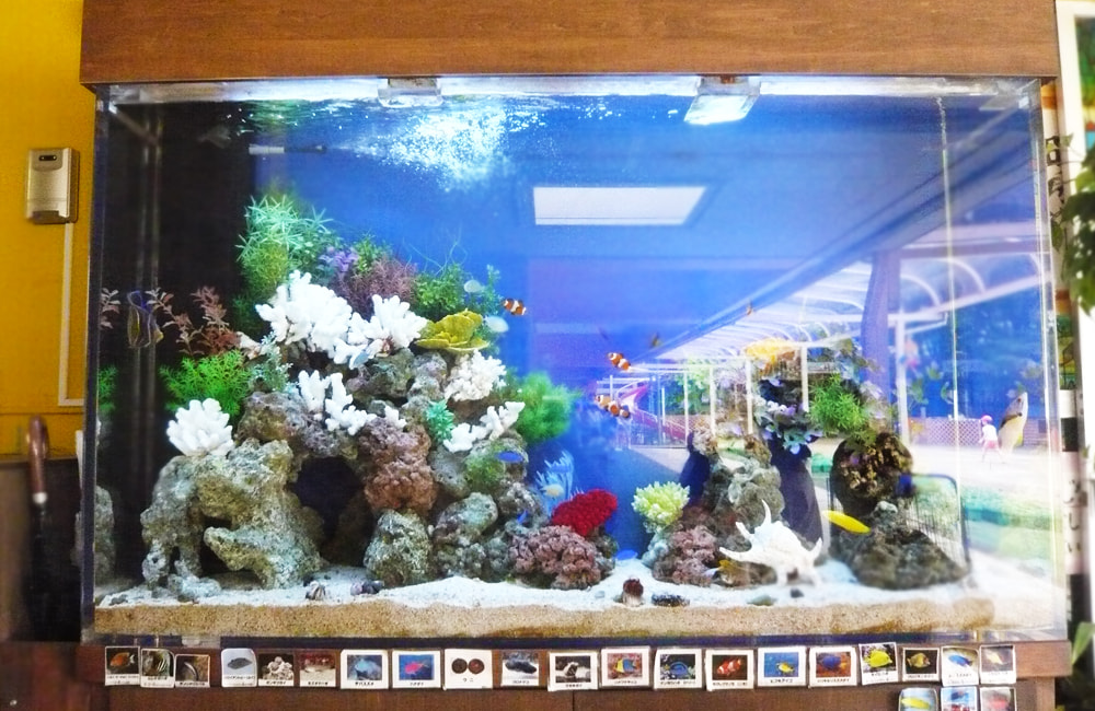 白いサンゴと岩を組んだ海水魚水槽のレイアウト