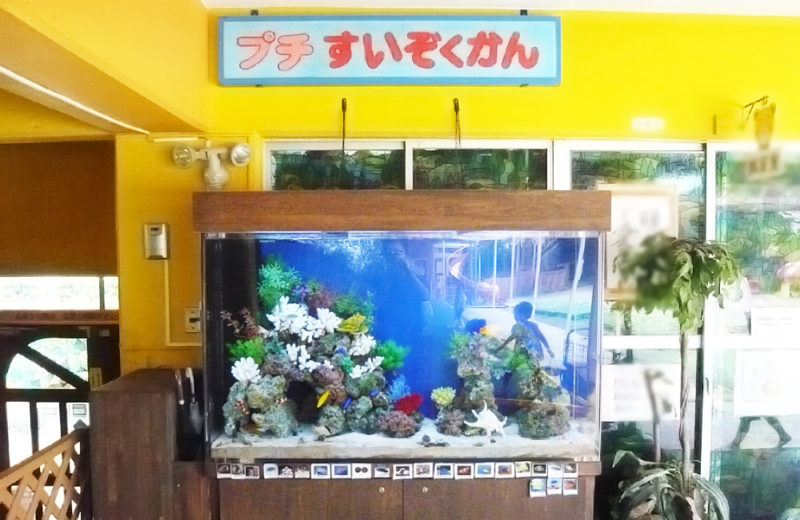浦和めぐみ幼稚園様 150cm海水魚水槽 水槽販売・メンテナンス事例 水槽画像2
