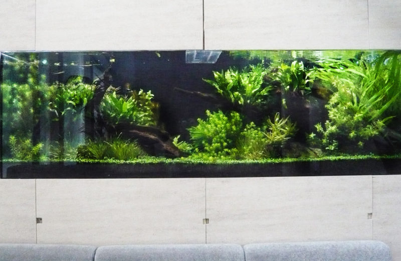 都内 モデルルーム様 150cm淡水魚水槽 水槽販売サービス事例 水槽画像2