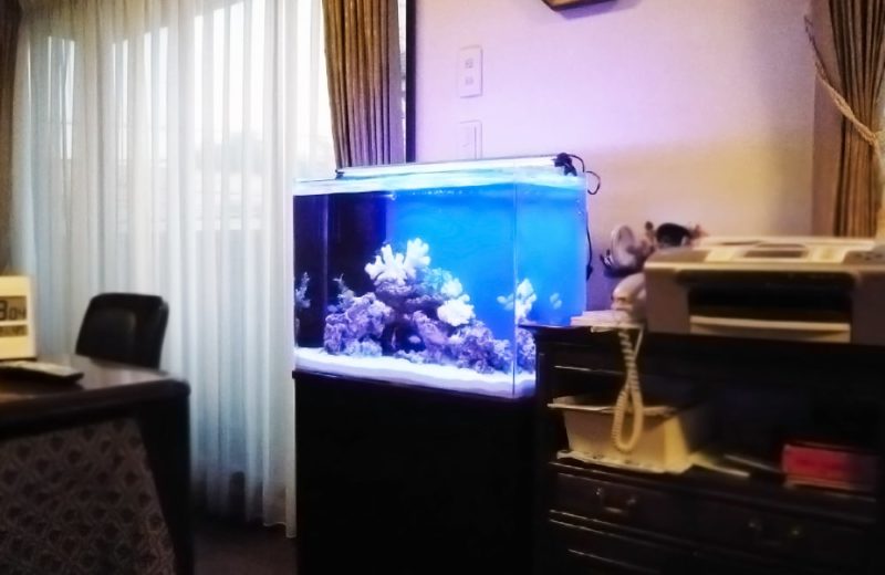 都内 個人宅様 60cm海水魚水槽 設置事例 水槽画像4