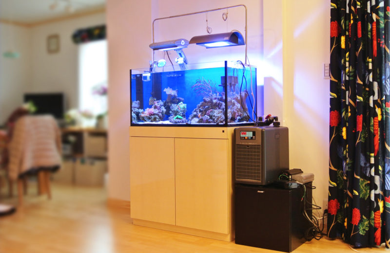 東京都 個人宅様 90cm海水魚水槽リニューアル事例 サンゴアクアリウム 水槽画像1