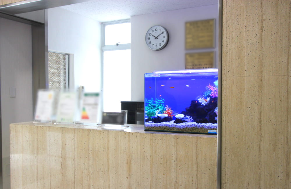 受付カウンターに設置された青い照明の熱帯魚水槽