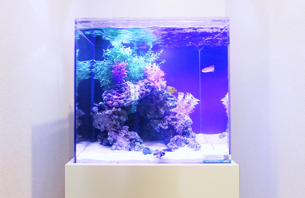 青い照明に照らされた岩と人工水草の海水魚水槽