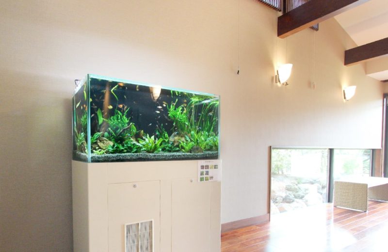 神奈川県鎌倉市 旅館様 90cm淡水魚水槽 設置事例 水槽画像1