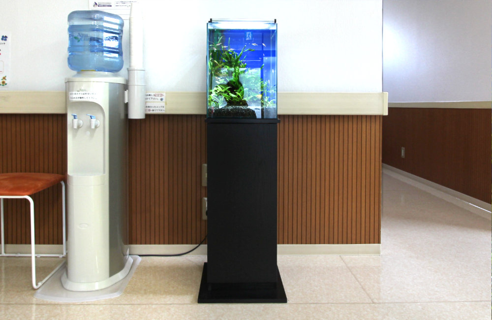 ウォーターサーバー横に設置された小型水槽と黒い水槽台