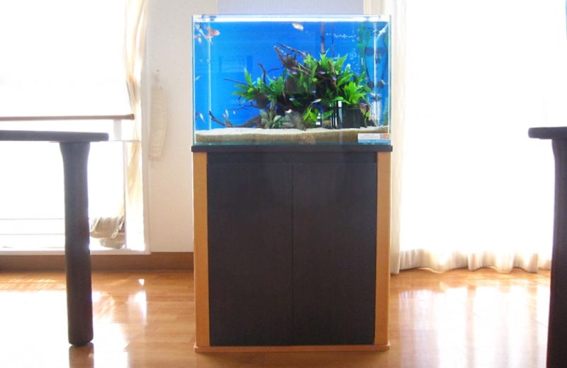 老人ホーム様 60cm淡水魚水槽 水槽レンタル事例 水槽画像2