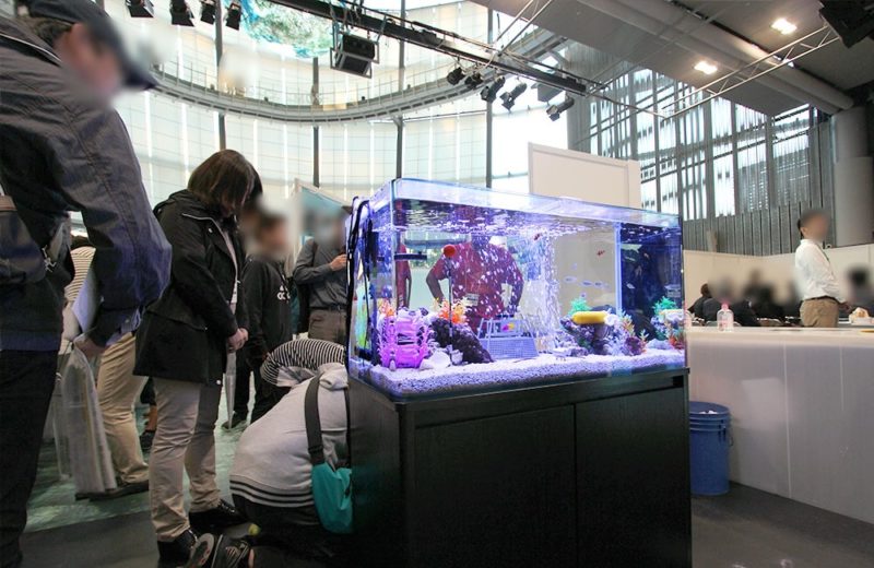 お台場 日本科学未来館 イベント 90cm海水魚水槽 イベント用レンタル事例 水槽画像2