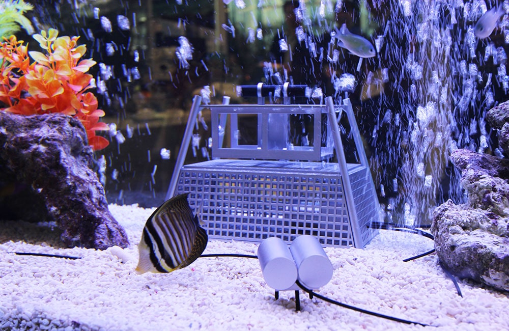 海水魚と気泡が舞う水槽内のシルバーのろ過装置と砂地