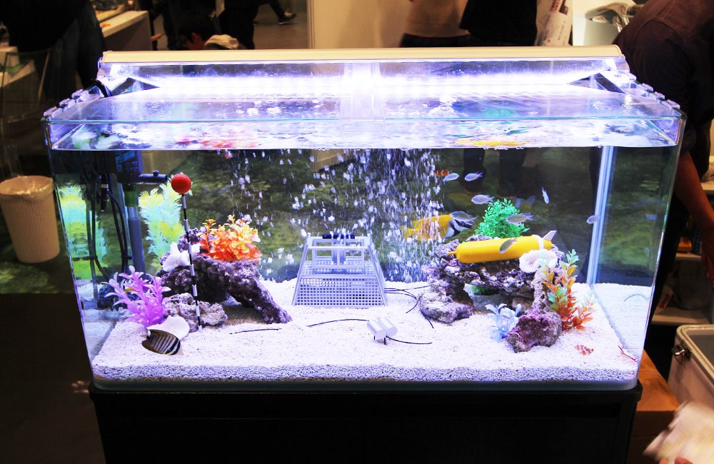 気泡が上がる海水魚水槽と人工水草のレイアウト