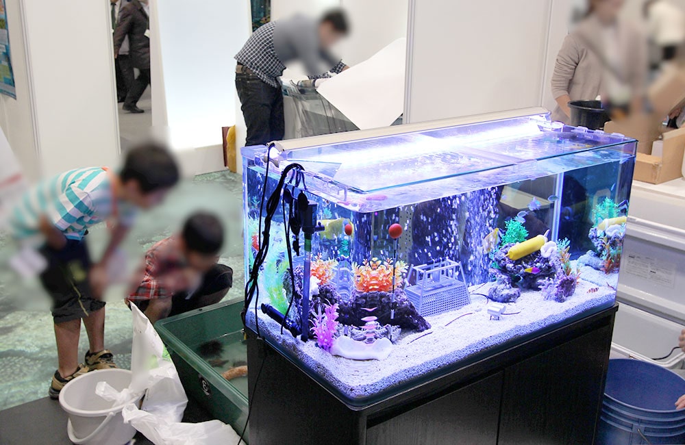 イベント会場で展示された青い照明の海水魚水槽