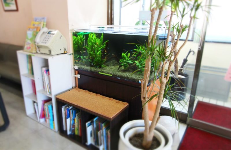 神奈川県横浜市 皮膚科 90cm淡水魚水槽 水槽一式販売事例 水槽画像5