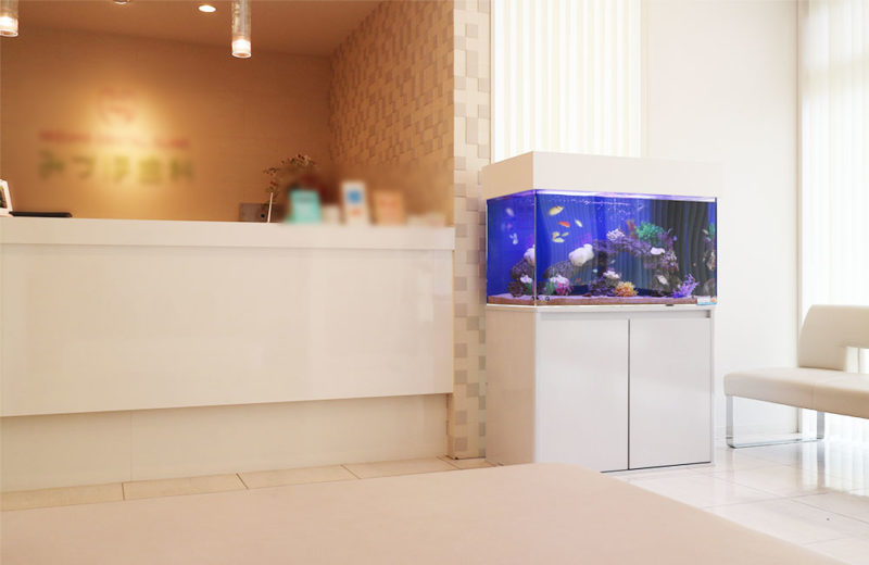 大阪府交野市 歯科クリニック 90cm海水魚水槽レンタル事例 水槽画像1