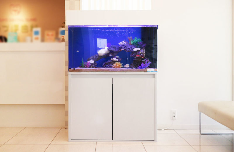 大阪府交野市 歯科クリニック 90cm海水魚水槽レンタル事例 水槽画像2