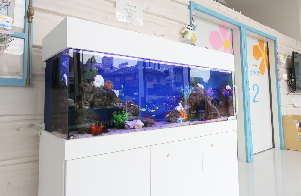 こどもクリニックに設置 アニメ映画のような150cm海水魚水槽をレンタルのサムネイル画像