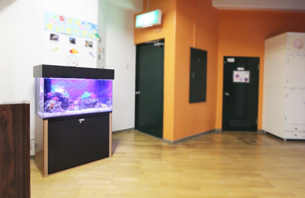 オレンジ色の壁の施設内に設置された海水魚水槽