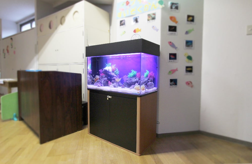 紫の照明で照らされた海水魚水槽と黒い水槽台