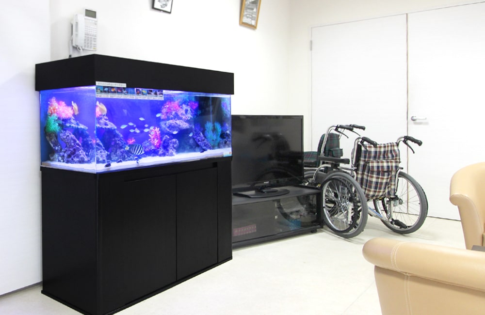 介護施設 水槽